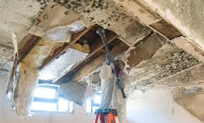 Mold Documentation for Insurance Claims in Juniper Canyon, OR